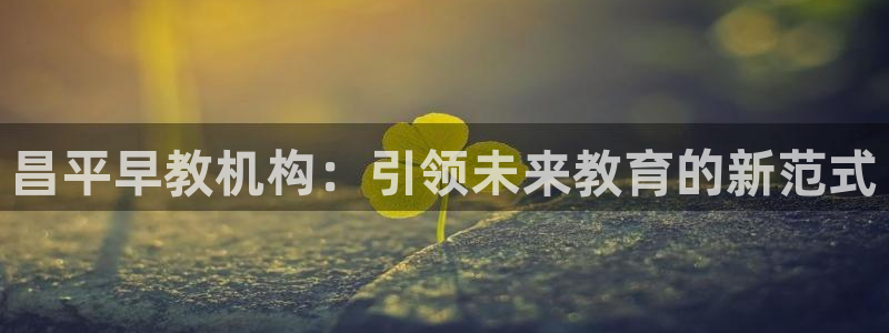 威九国际ppt免费下载：昌平早教机构：引领未来教育的新范式