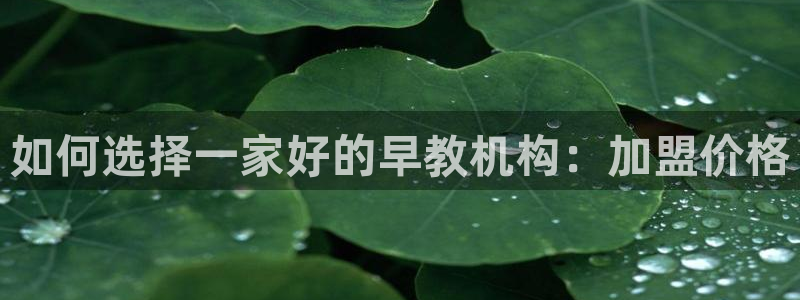 威九国际78mapp：如何选择一家好的早教机构：加盟价格