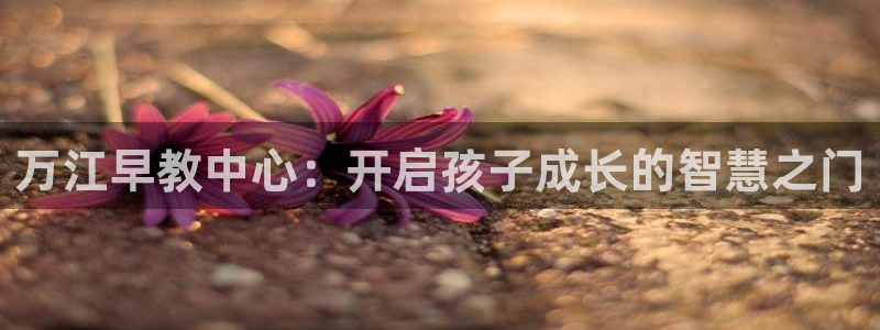 威九国际动漫：万江早教中心：开启孩子成长的智慧之门
