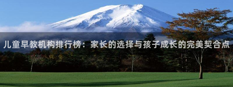 威九国际top：儿童早教机构排行榜：家长的选择与孩子成长的完美契合点