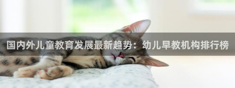 78mapp威九国际官网：国内外儿童教育发展最新趋势：幼儿早教机构排行榜