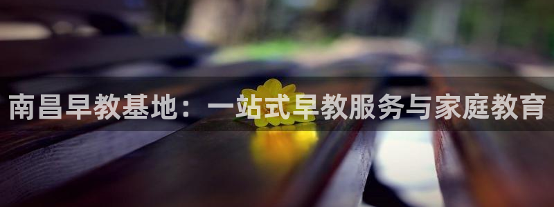 威九国际EVA0001：南昌早教基地：一站式早教服务与家庭教育