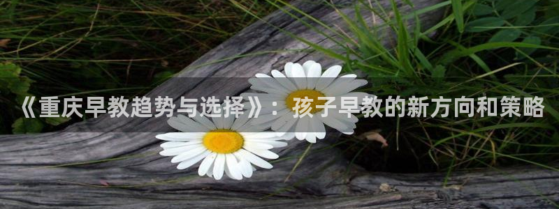 保定威九网络科技有限公司是干嘛的：《重庆早教趋势与选择》：孩子早教的新方向和策略