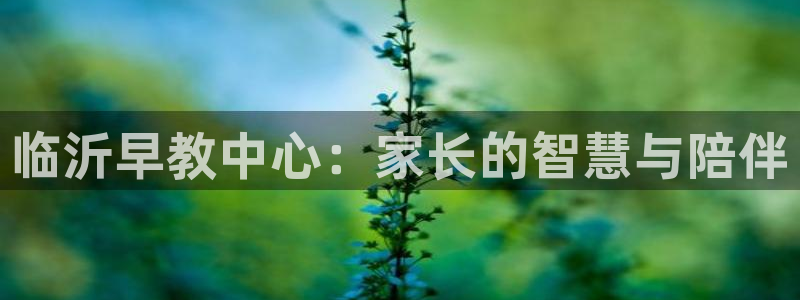 保定威九网络科技有限公司电话：临沂早教中心：家长的智慧与陪伴
