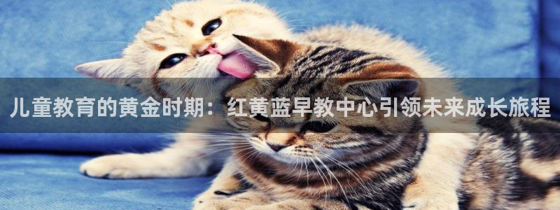 威九国际网站链接怎么打开：儿童教育的黄金时期：红黄蓝早教中心引领未来成长旅程