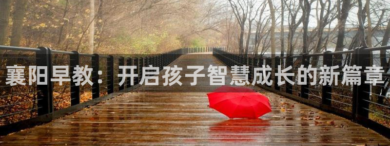 威九国际v96bet下载：襄阳早教：开启孩子智慧成长的新篇章