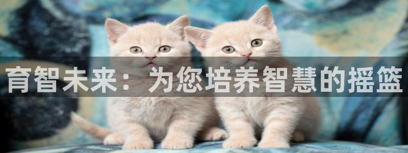 威九国际78mb42- MBA中文：育智未来：为您培养智慧的摇篮