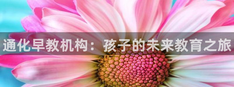 威九国际app网站官网：通化早教机构：孩子的未来教育之旅