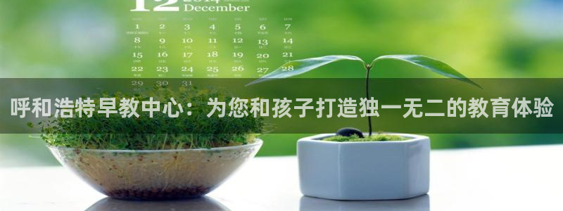 威九国际78m小说：呼和浩特早教中心：为您和孩子打造独一无二的教育体验