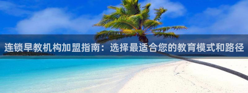 威九国际能提现吗：连锁早教机构加盟指南：选择最适合您的教育模式和路径