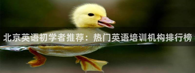 威九国际网站入口官网免费下载：北京英语初学者推荐：热门英语培训机构排行榜