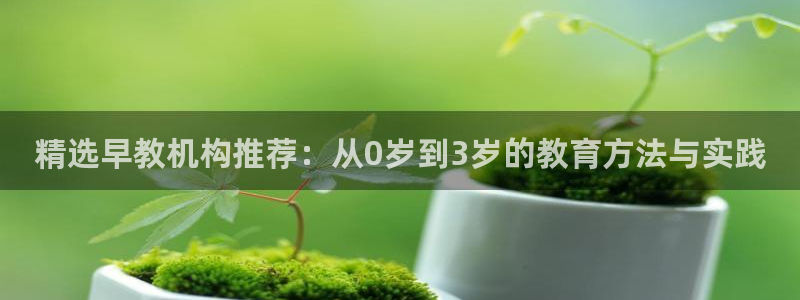 威九国际男演员：精选早教机构推荐：从0岁到3岁的教育方法与实践