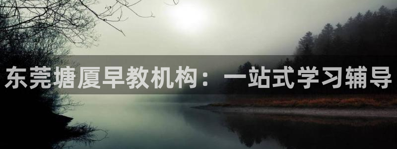 威九国际app入口官网：东莞塘厦早教机构：一站式学习辅导