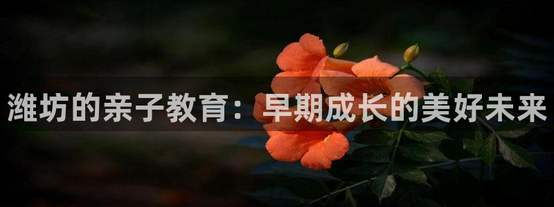 威九国际电视怎么样：潍坊的亲子教育：早期成长的美好未来