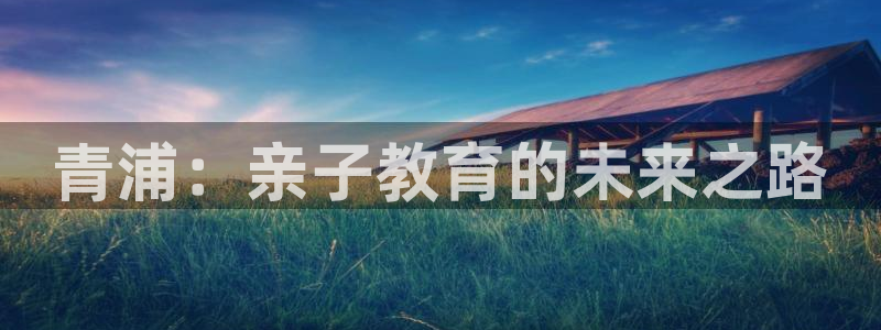 威九国际PPT：青浦：亲子教育的未来之路