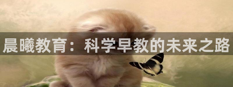 威九国际免费游戏：晨曦教育：科学早教的未来之路