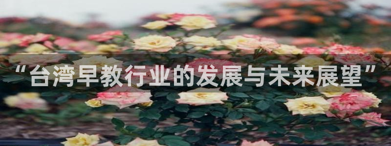 威九国际的金融服务有哪些：“台湾早教行业的发展与未来展望”