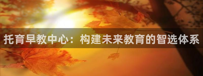 威九国际网站入口rdquo：托育早教中心：构建未来教育的智选体系