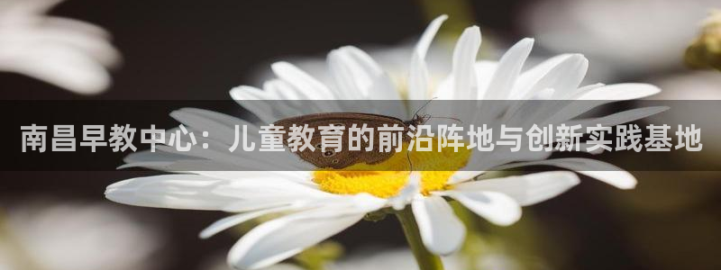 威九国际网站进入客服中心怎么退出：南昌早教中心：儿童教育的前沿阵地与创新实践基地