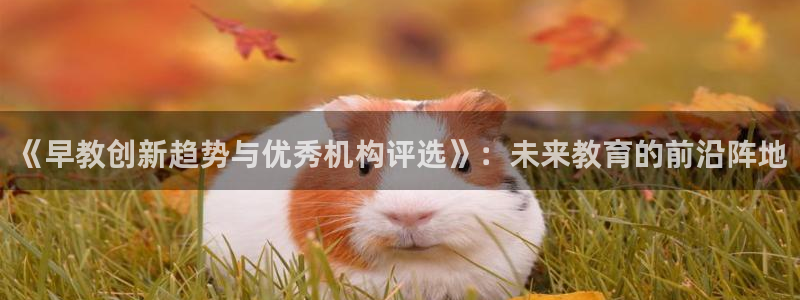 78mapp威九国际媒体央视：《早教创新趋势与优秀机构评选》：未来教育的前沿阵地