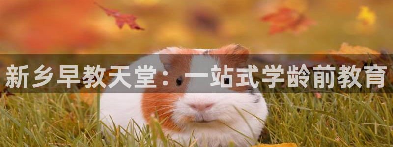 威九国际网站影视：新乡早教天堂：一站式学龄前教育