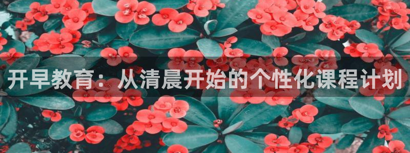 威九国际免费游戏：开早教育：从清晨开始的个性化课程计划