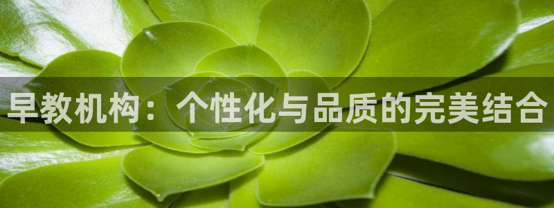 威九国际66m：早教机构：个性化与品质的完美结合