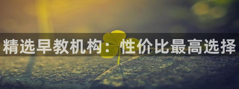 威九国际官网登录入口：精选早教机构：性价比最高选择