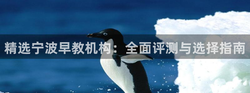 威九国际软件：精选宁波早教机构：全面评测与选择指南