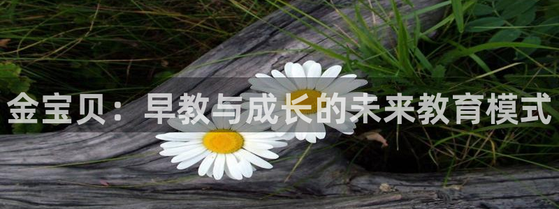威九国际官方网站最新版本更新内容介绍：金宝贝：早教与成长的未来教育模式