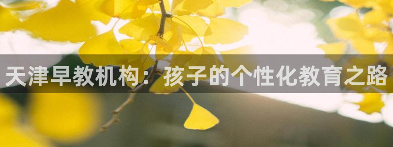 威九国际空降服务女演员叫什么名字:天津早教机构:孩子的个性化教育之路