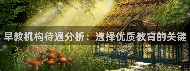 威九国际的网站入口在哪里：早教机构待遇分析：选择优质教育的关键