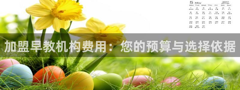 威九国际网站人入口：加盟早教机构费用：您的预算与选择依据