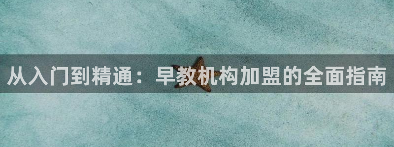 78mapp威九国际网：从入门到精通：早教机构加盟的全面指南