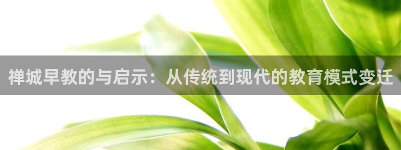 威九国际网站怎么样:禅城早教的与启示:从传统到现代的教育模式变迁
