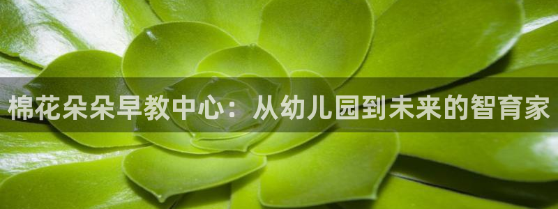 威九国际78mob官网版：棉花朵朵早教中心：从幼儿园到未来的智育家