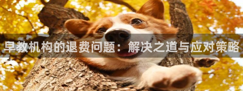 威九国际能提现吗:早教机构的退费问题:解决之道与应对策略