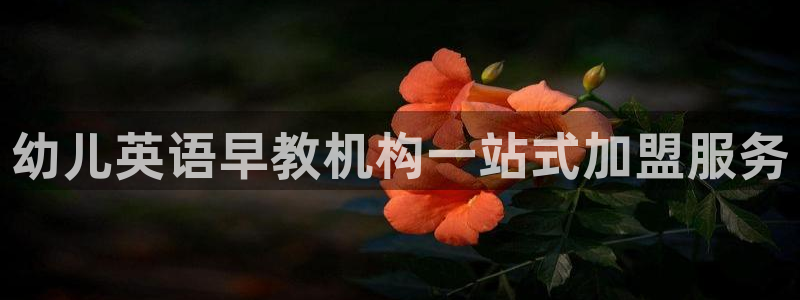 威九国际66mm66：幼儿英语早教机构一站式加盟服务
