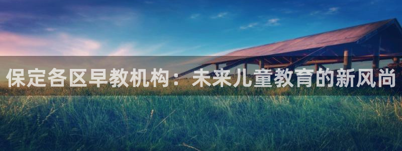 威九国际哪国的：保定各区早教机构：未来儿童教育的新风尚