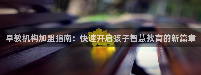 威九国际新：早教机构加盟指南：快速开启孩子智慧教育的新篇章
