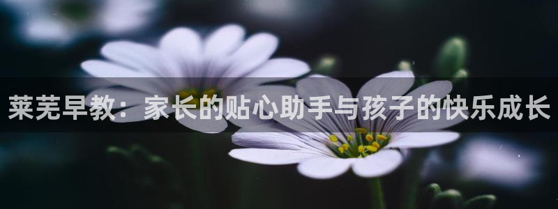 威九国际小广告：莱芜早教：家长的贴心助手与孩子的快乐成长