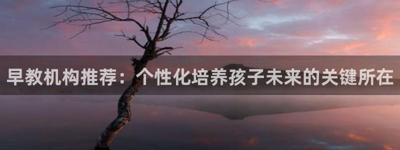 威九国际合作伙伴有哪些：早教机构推荐：个性化培养孩子未来的关键所在