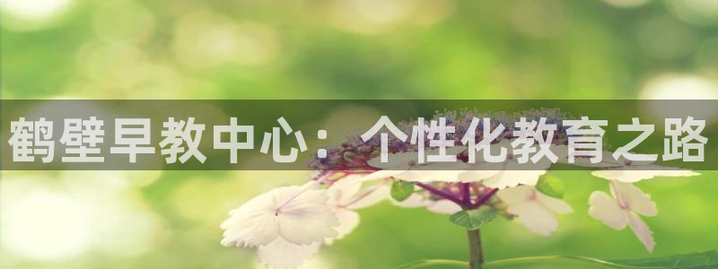 威九国际78mb42斗罗大陆：鹤壁早教中心：个性化教育之路