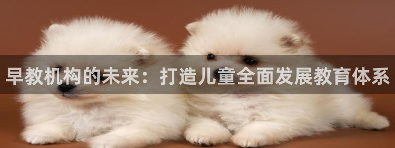 威九国际网站客服电话多少啊：早教机构的未来：打造儿童全面发展教育体系