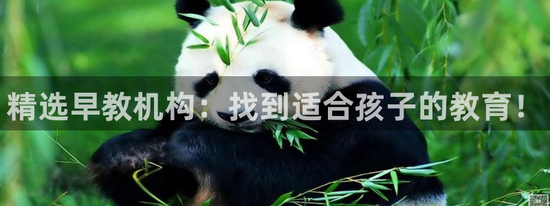 威九国际com：精选早教机构：找到适合孩子的教育！