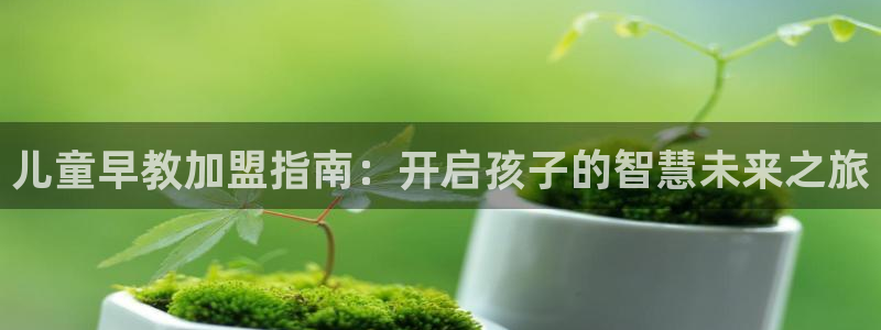 78mapp威九国际官网版:儿童早教加盟指南:开启孩子的智慧未来之旅