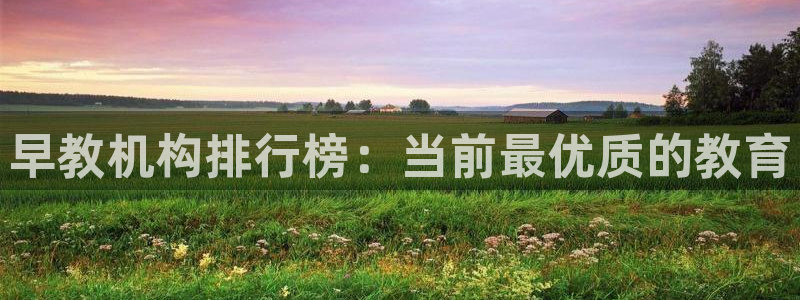 威九国际网站进入客服中心:早教机构排行榜:当前最优质的教育