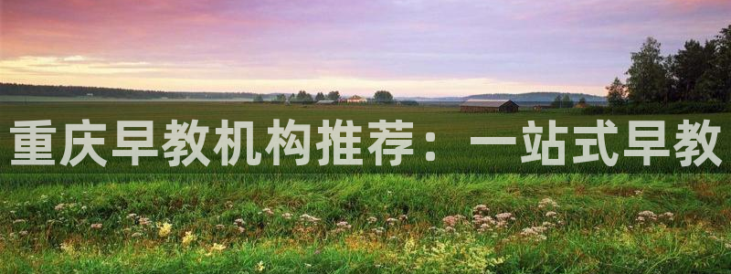 78mapp威九国际：重庆早教机构推荐：一站式早教