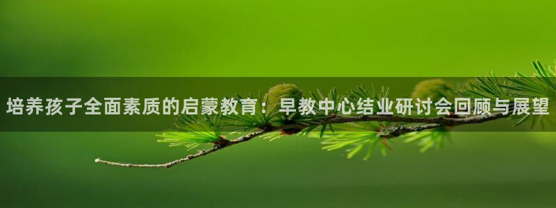 威九国际游戏app(网站)：培养孩子全面素质的启蒙教育：早教中心结业研讨会回顾与