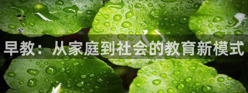 威九国际能提现吗:早教:从家庭到社会的教育新模式